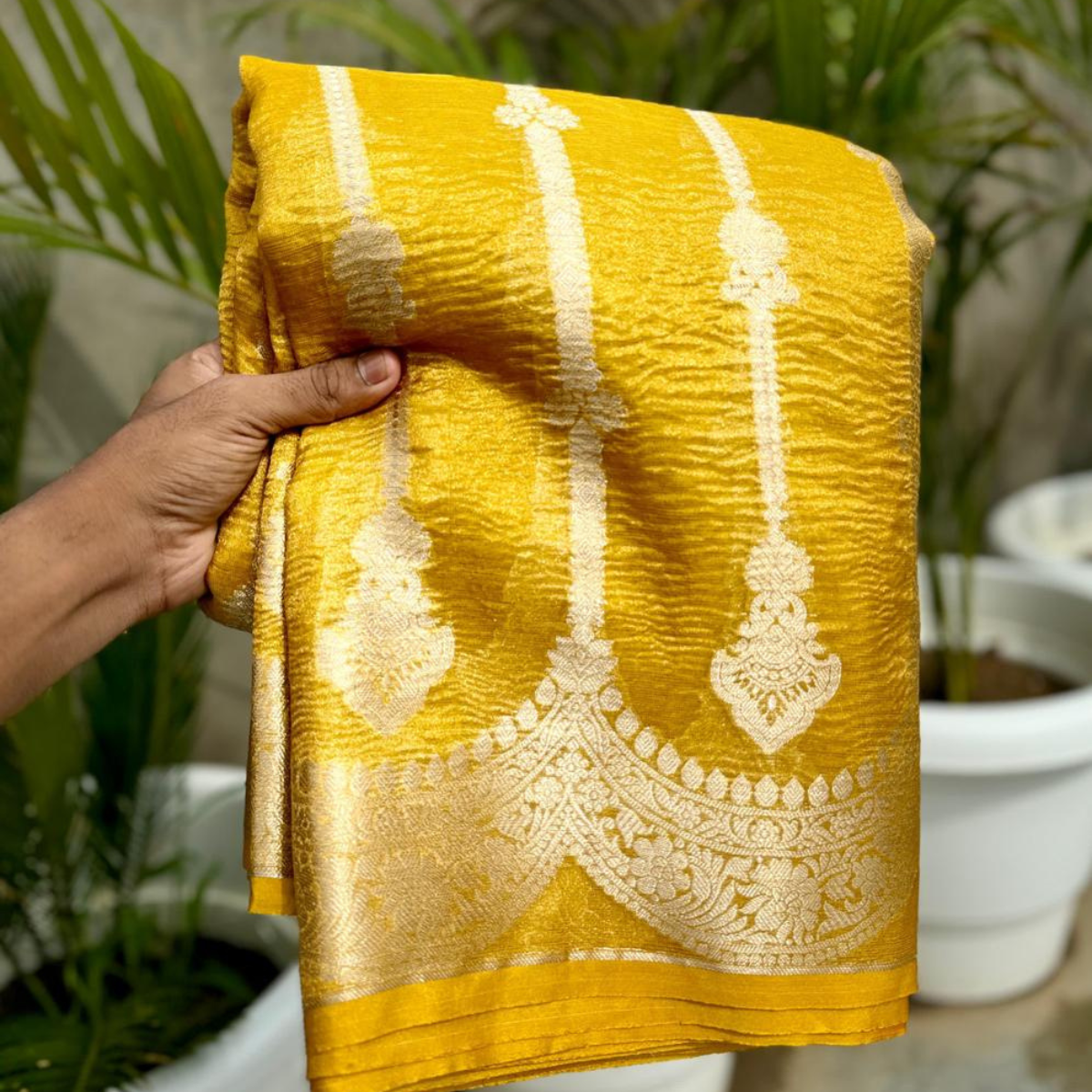 Tissue silk sarees
